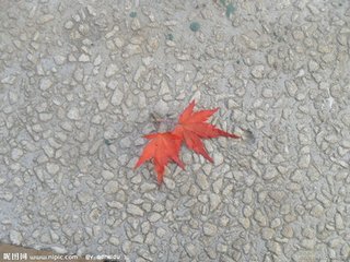 FansOne情人节多人的 NINA倪娜巨大的老奶奶英文老师和闺蜜一起伺候猛男 两个刺激的轮流被友好