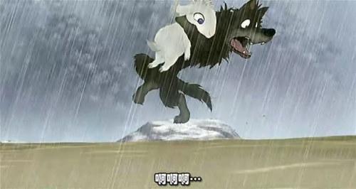 2605150035546563.jpg