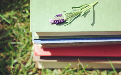 2605181439307361.jpg