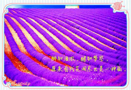 很白的忠实的仆人小仙云儿长筒袜子高跟卡点露的很多的部位 边舞边用弹力玩具自给自足 很白的状态一览无余