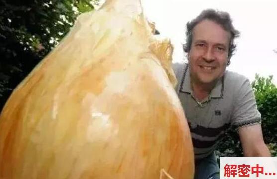 台湾网不太清水的内容 小恩Envy 最新作品 和男友在沙发直接身体轮廓互动起来 69互舌头出场