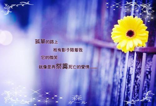 2606122209103551.jpg