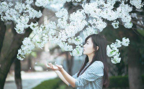日本贩卖自己惊现大乌龙 东北哥们难听的话输出半天 亲密后的安静才发现对方是中国留学生