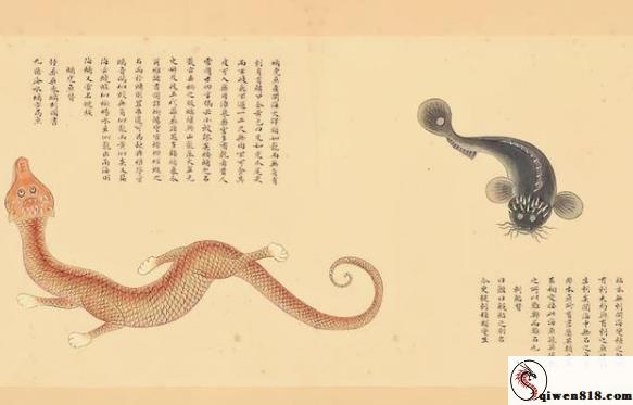 安平面筋哥2小时视频流出 主业烤面筋 副业直播收礼物 媳妇丈母娘全上阵