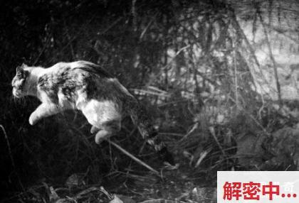 高途主题人物打电话给初二学生家长 结果全程听着结婚十多年夫妻暧昧交流